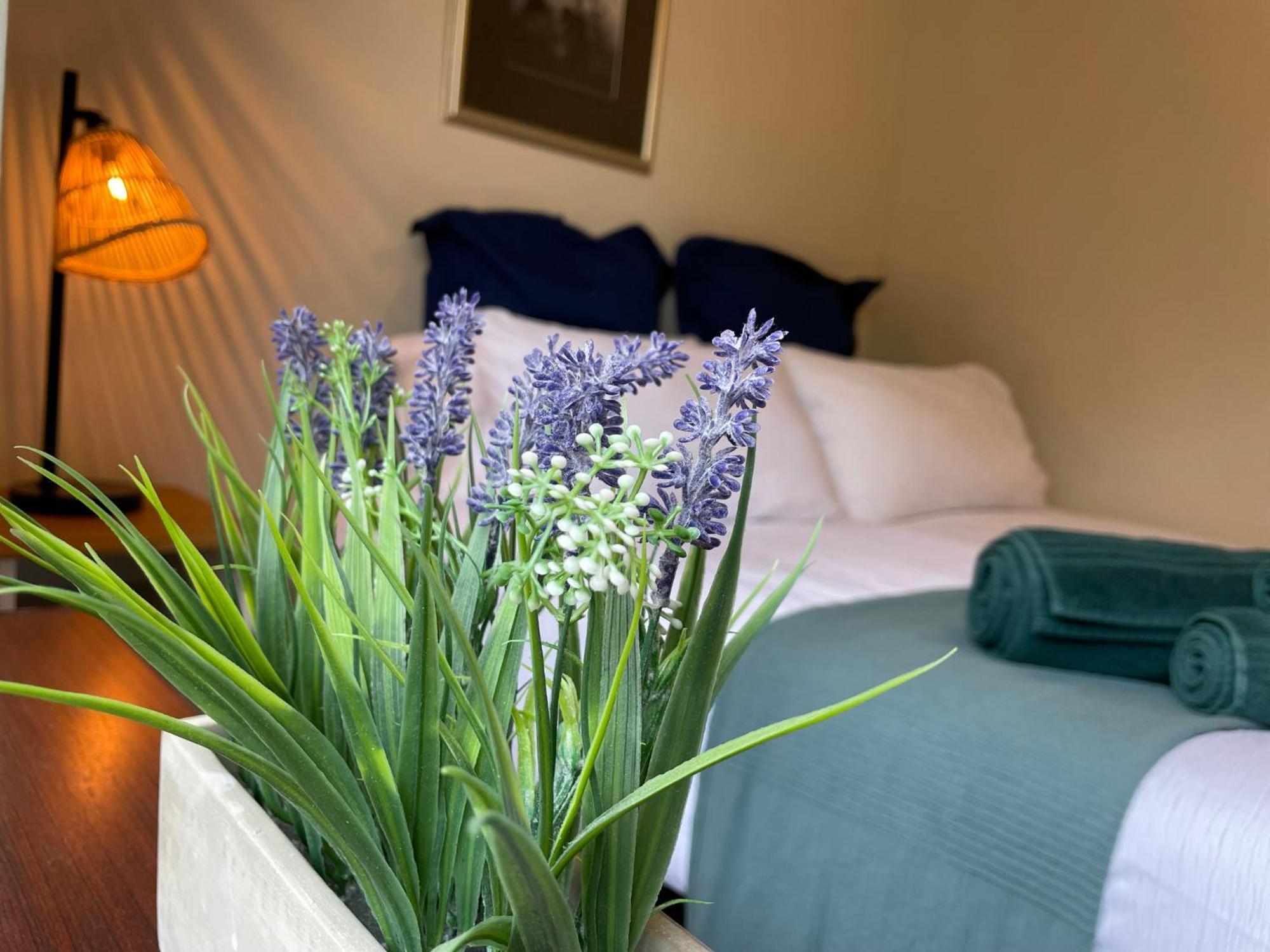 Muddy Paws Cottages - The Nook Taddington Exteriér fotografie